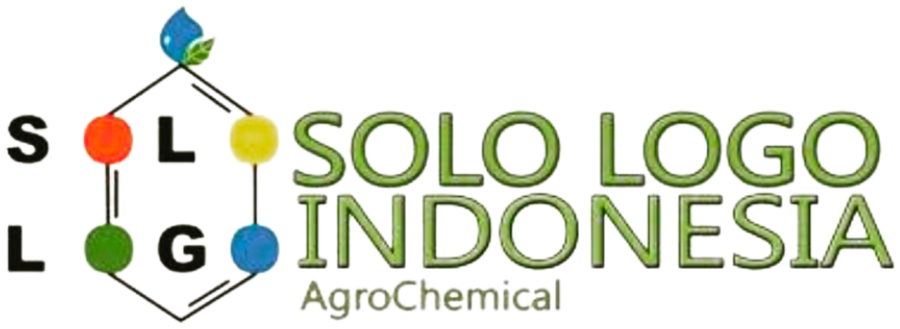 Solo Logo Indonesia